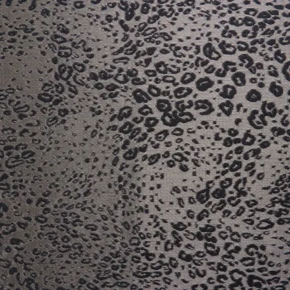 Leopard 10